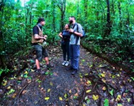 a group of people standing in a forest