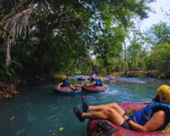 people on tubes in a river